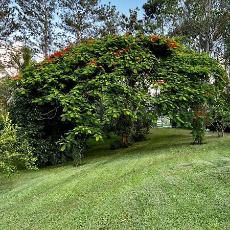 Gaestezimmer In Der Villa Zimmer Jarabacoa Eksteriør bilde