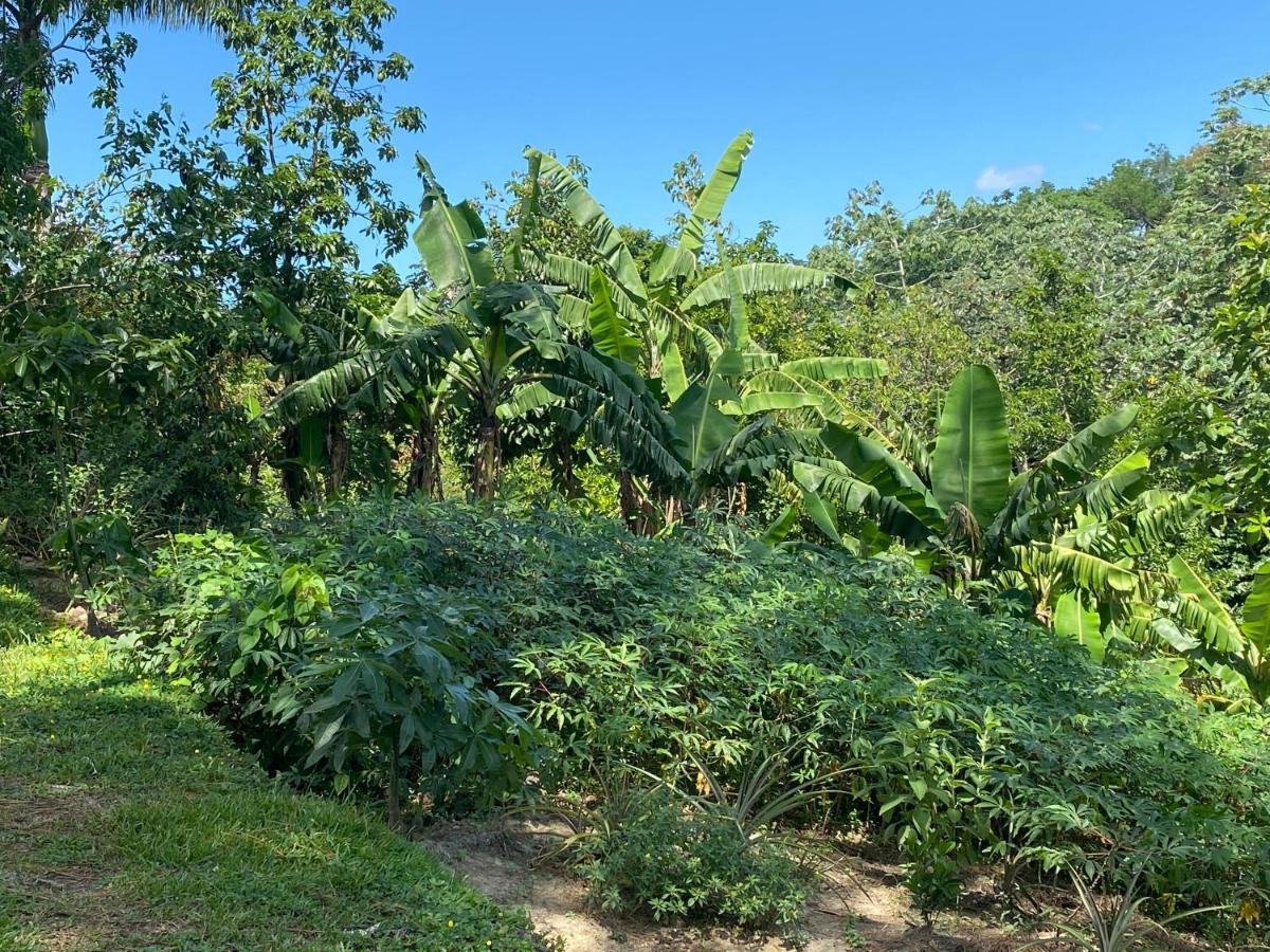 Gaestezimmer In Der Villa Zimmer Jarabacoa Eksteriør bilde